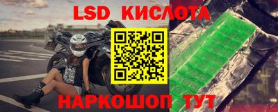 spice Заволжье