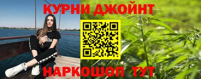 сатива Жуковский